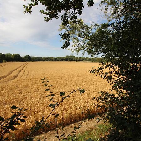 Cowslip Barn Annexe, Countryside Stay Near 奇切斯特 外观 照片