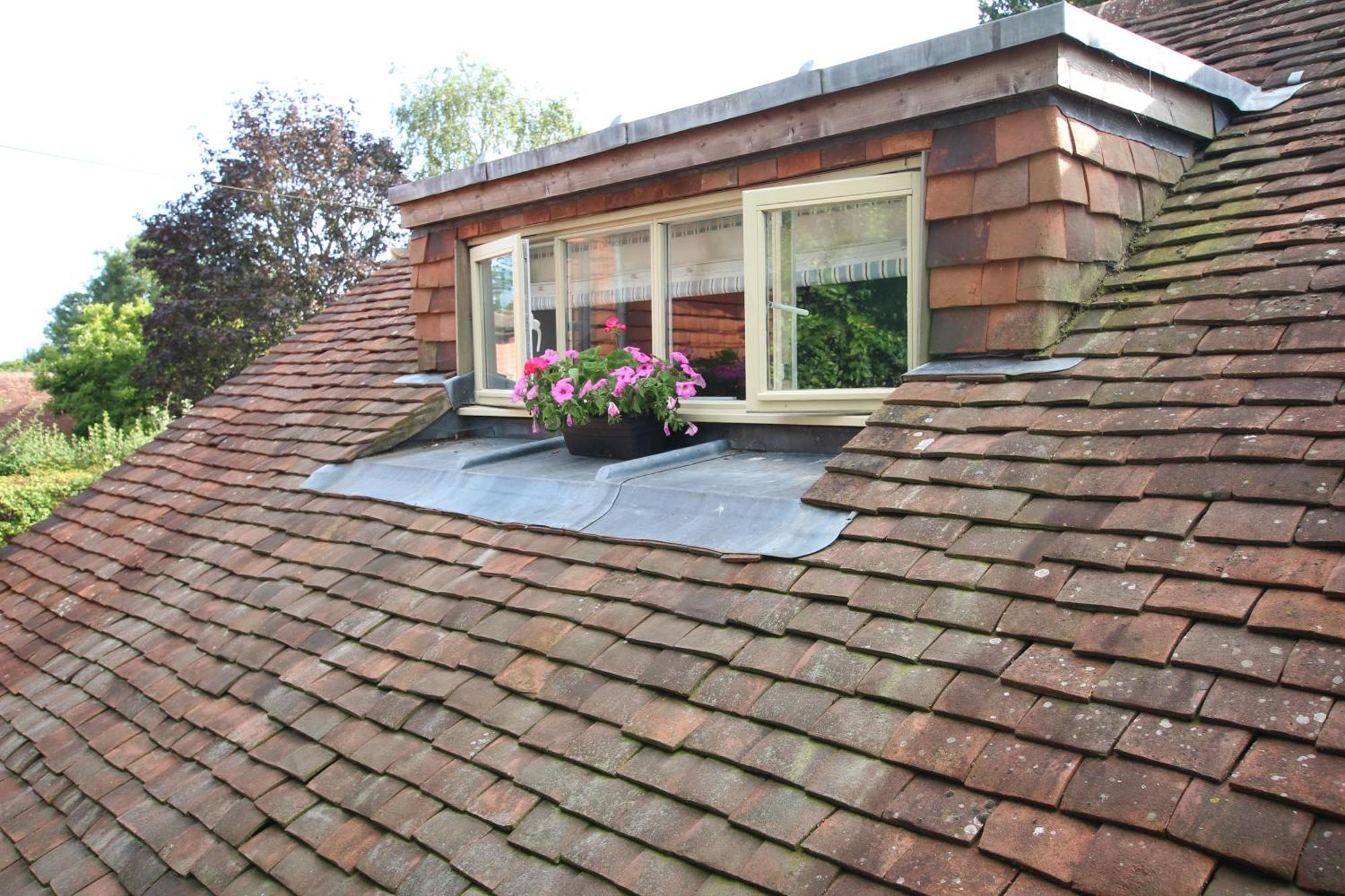 Cowslip Barn Annexe, Countryside Stay Near 奇切斯特 外观 照片
