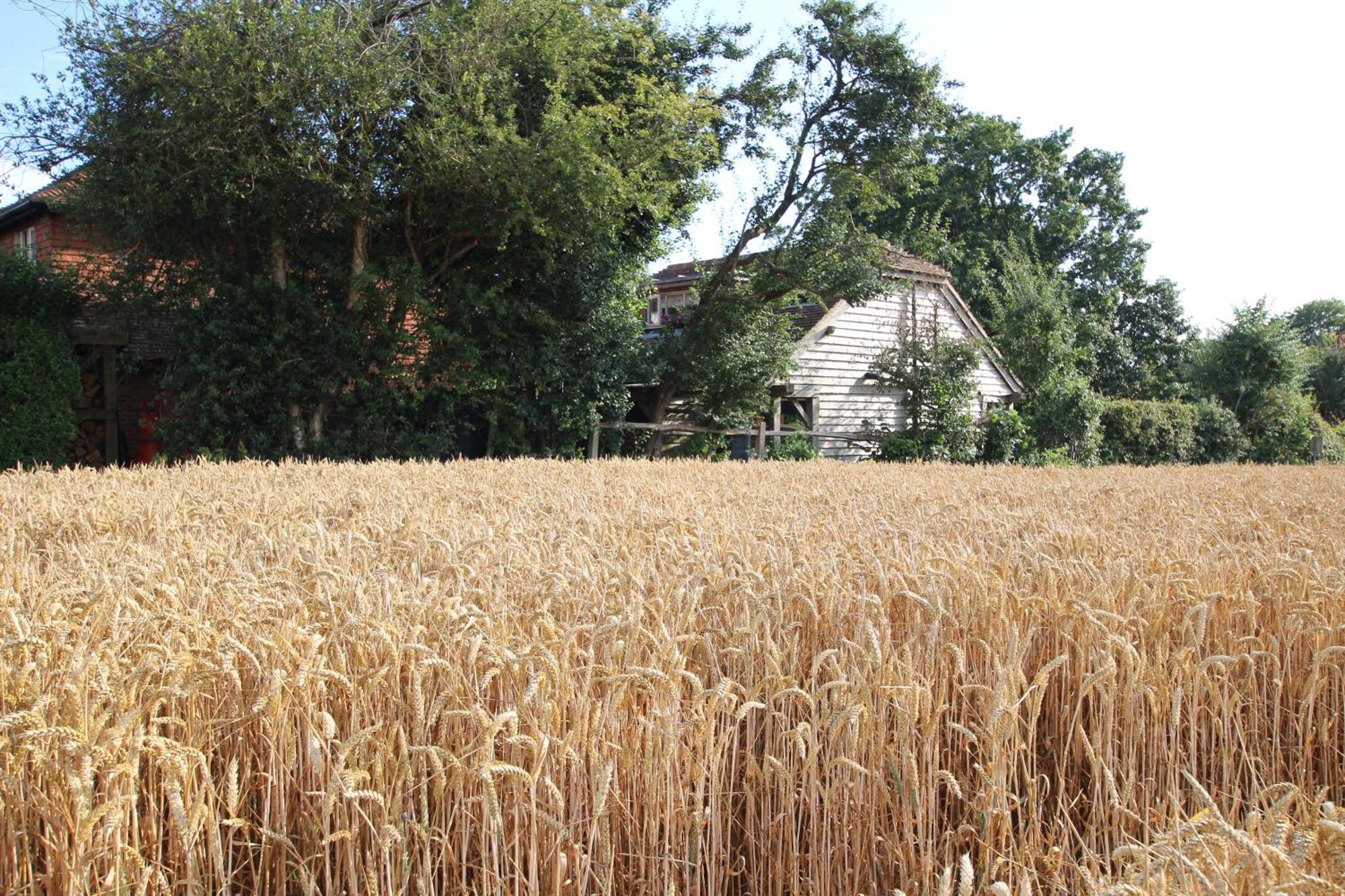 Cowslip Barn Annexe, Countryside Stay Near 奇切斯特 外观 照片